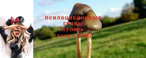 экстази Карпинск